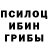 Галлюциногенные грибы прущие грибы Yaseen Tasnif
