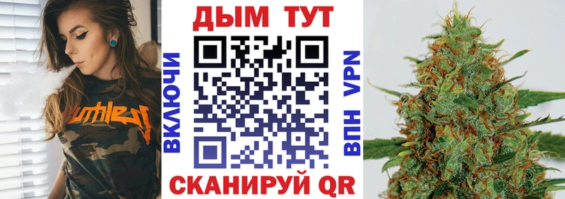 Каннабис MAZAR  Цоци-Юрт 